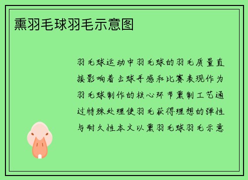 熏羽毛球羽毛示意图